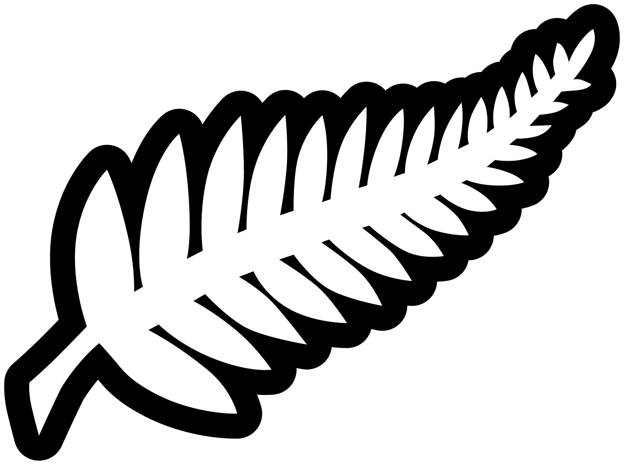 Équipe Nouvelle-Zélande